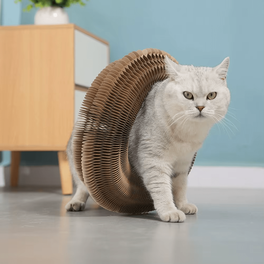 Scratching Board - GAUDLUS