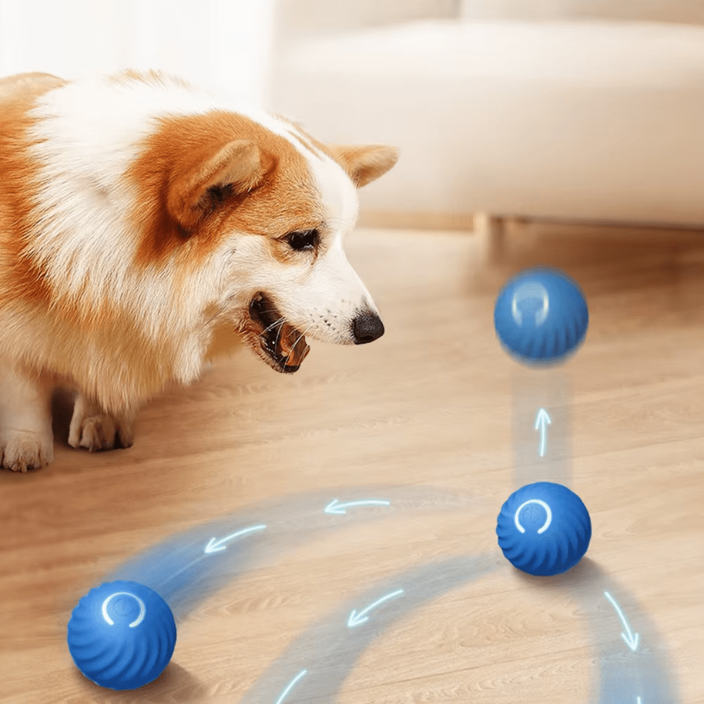 Electric Dog Toys - GAUDLUS
