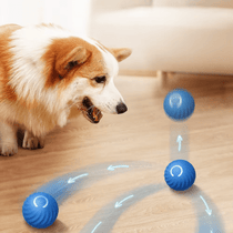 Electric Dog Toys - GAUDLUS
