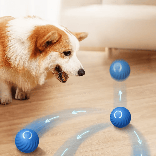 Electric Dog Toys - GAUDLUS