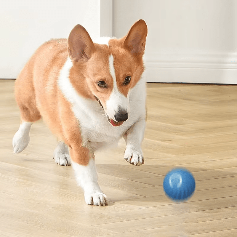 Electric Dog Toys - GAUDLUS