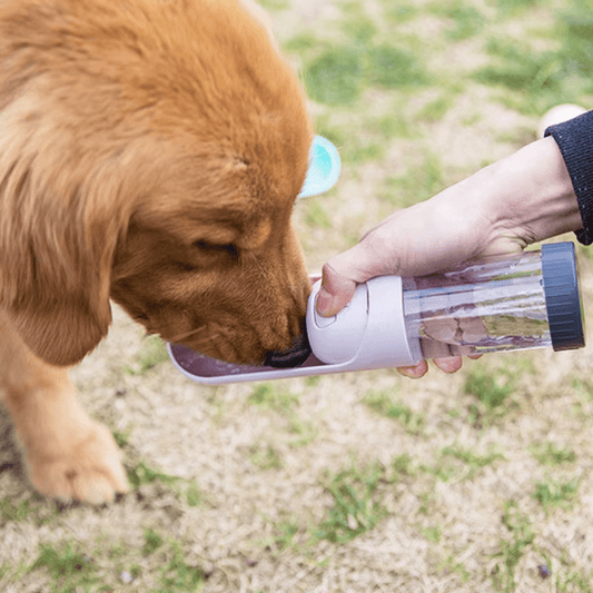 Travel Drinking Bowl - GAUDLUS