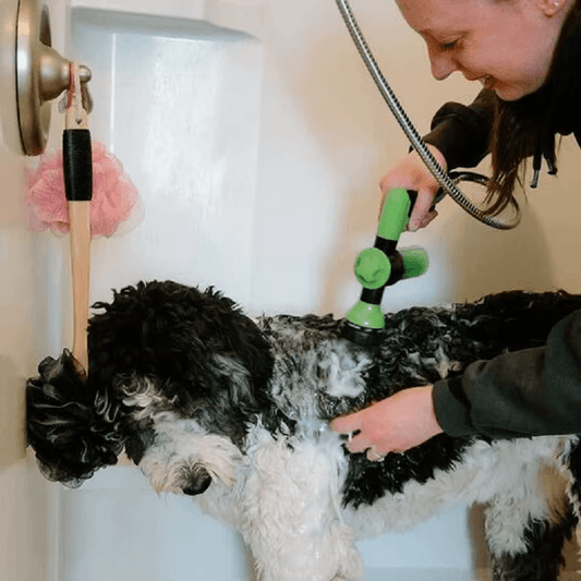 Pet Shower - GAUDLUS