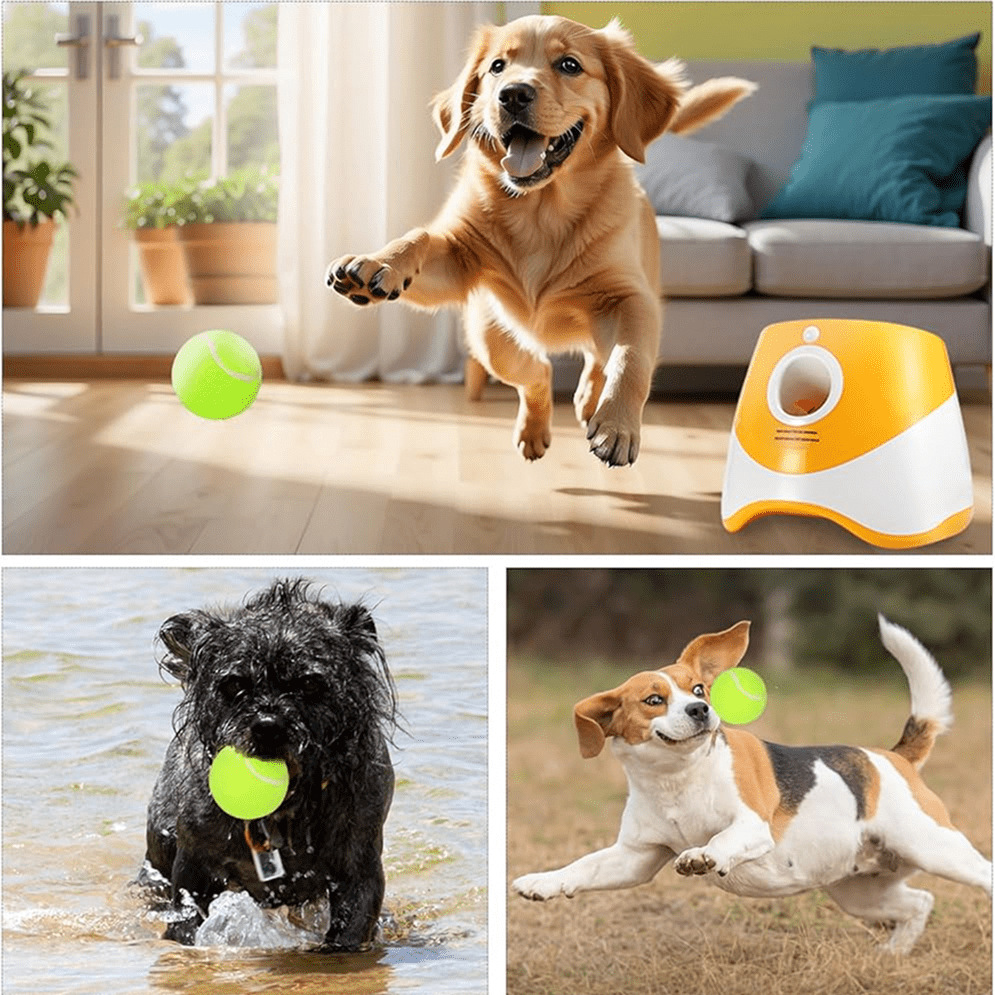 Interactive Ball Launcher - GAUDLUS