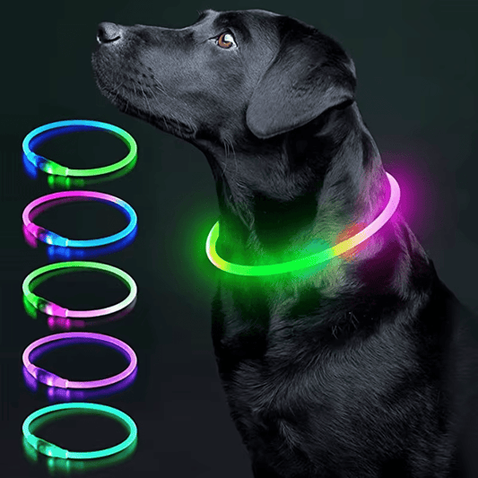 LED Collar - GAUDLUS